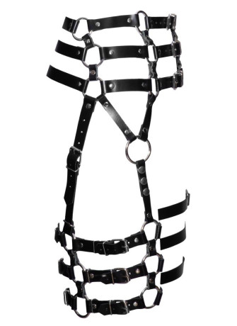 Waist Harness
